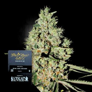 Super Critical Green House Seeds