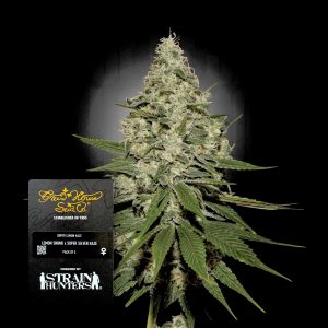 Super Lemon Haze Green House Seeds