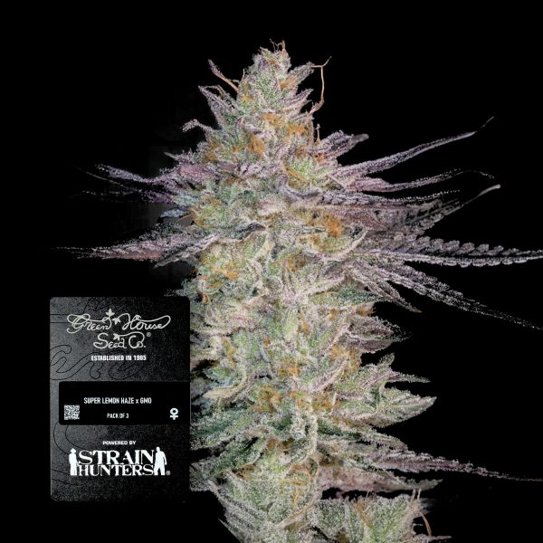 Green House Seeds Super Lemon Haze x GMO