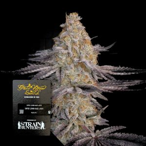 Green House Seeds Super Lemon Haze x RS11