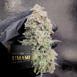 Surf Wax Umami Seeds