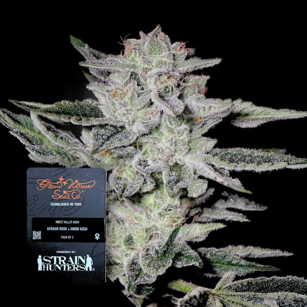 Green House Seeds Sweet Valley Kush