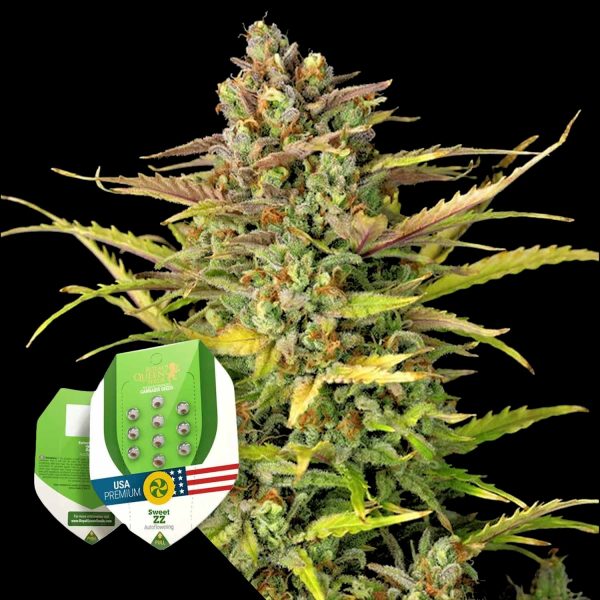 Royal Queen Seeds Sweet ZZ Auto