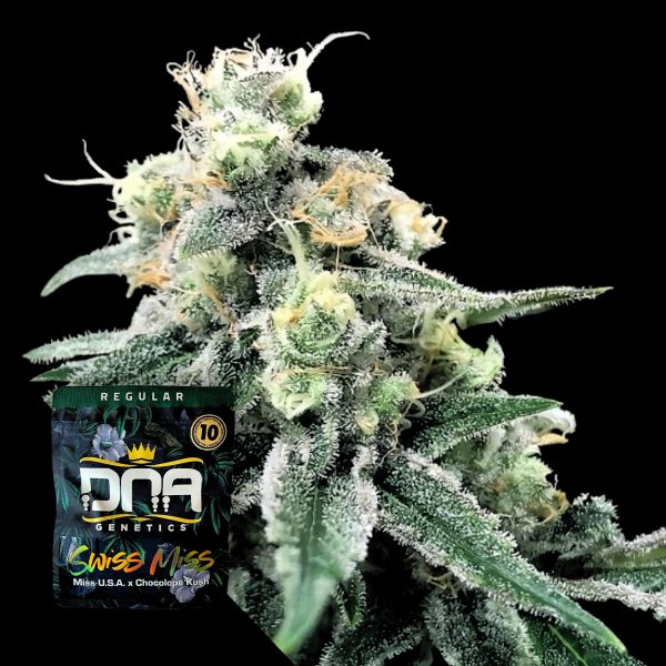 DNA Genetics Swiss Miss