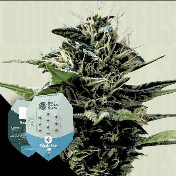 Royal Queen Seeds Tatanka Pure CBD