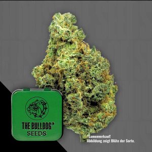 Tb Wedding Cake The Bulldog Seeds