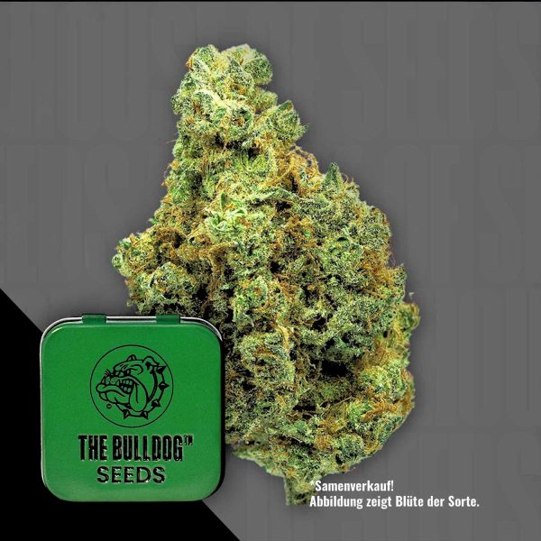 The Bulldog Seeds TB Wedding Cake