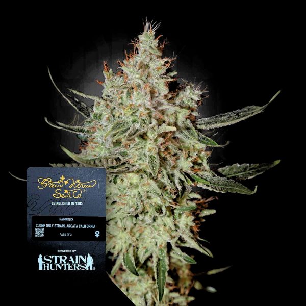 Green House Seeds Train Wreck