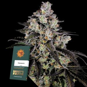 Trainwreck Barneys Farm