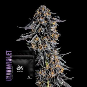 Ultraviolet Doja