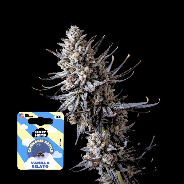 Holy Hemp Vanilla Gelato