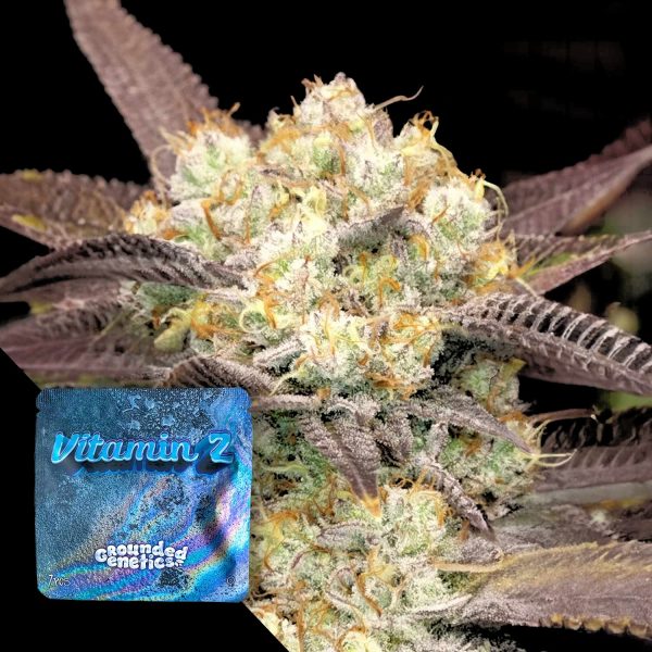 Grounded Genetics Vitamin Z