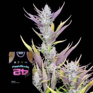 Wedding Glue Auto 420 Fast Buds