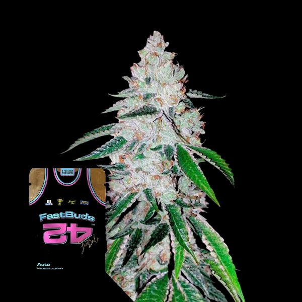 420 Fast Buds West Coast O.G. Auto