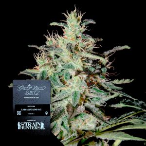 White Lemon Green House Seeds