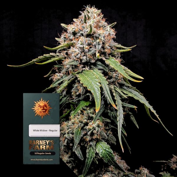 Barneys Farm White Widow