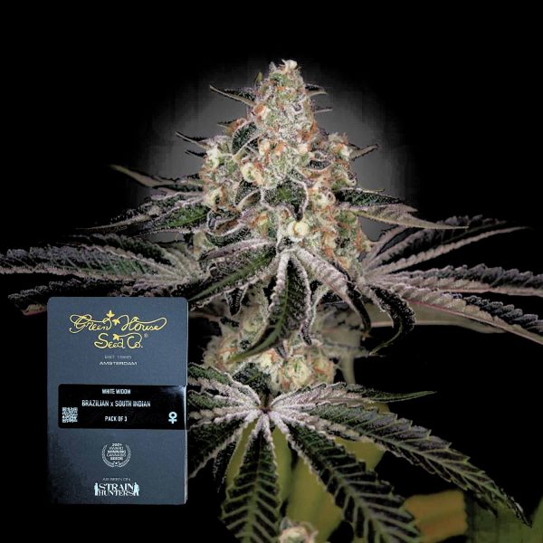 Green House Seeds White Widow