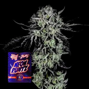 White Zangria Wizard Trees