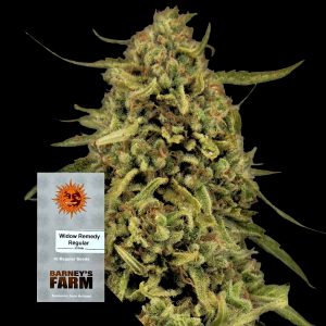 Widow Remedy Barneys Farm