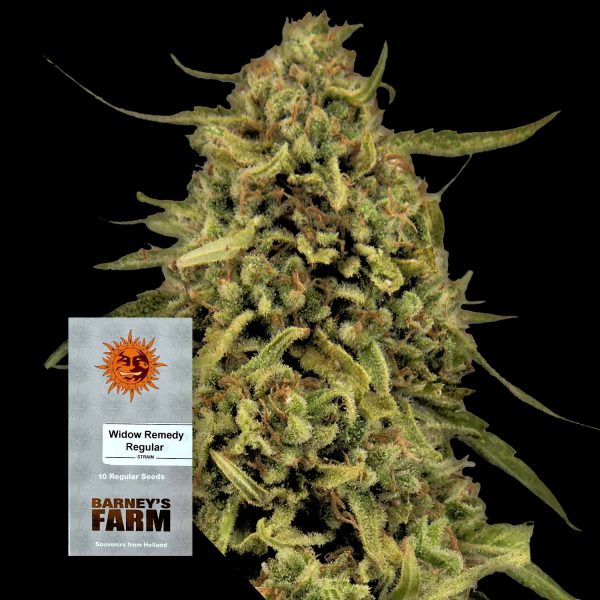Barneys Farm Widow Remedy