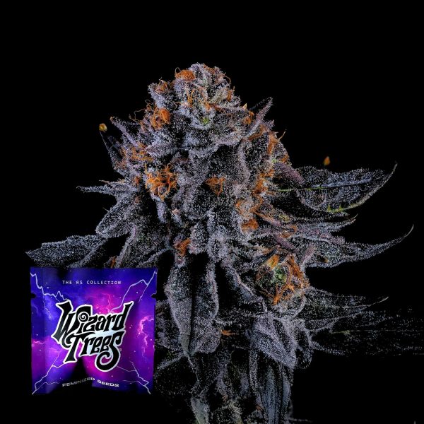 Wizard Trees Wizard Fuel