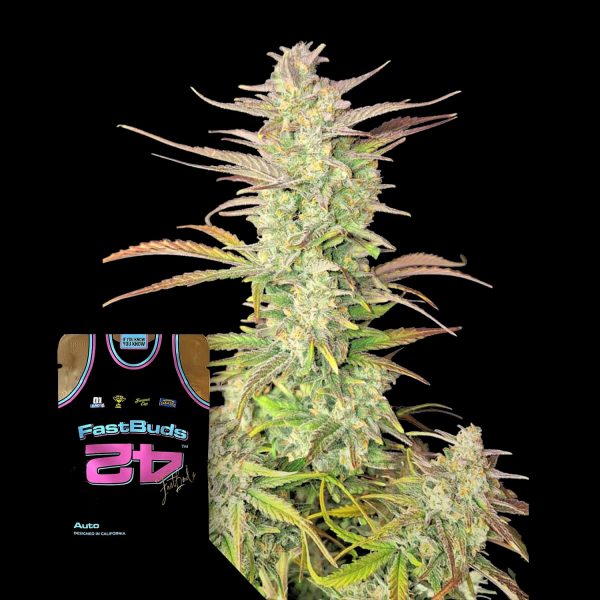 420 Fast Buds Z-Up Auto