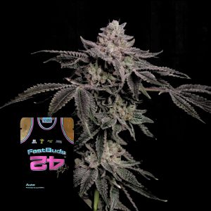 Z42 420 Fast Buds