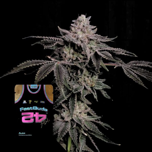 420 Fast Buds Z42