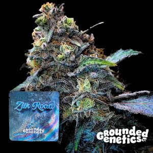 Zilk Road Grounded Genetics