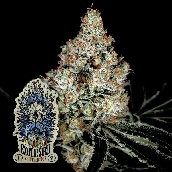 Exotic Seeds Zkittalicious