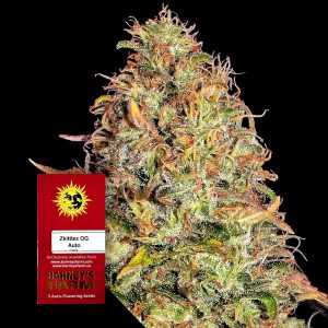 Zkittlez Og Auto Barneys Farm