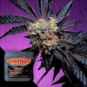 Zoapaya Grounded Genetics
