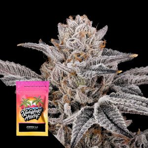 Zorroz 20 Nine Weeks Harvest