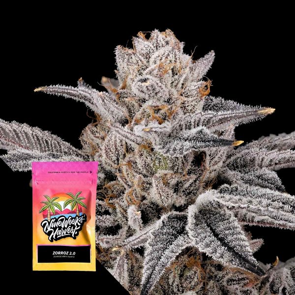 Nine Weeks Harvest Zorroz 2.0