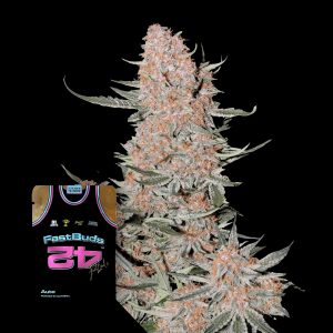 Ztrawberriez Auto 420 Fast Buds