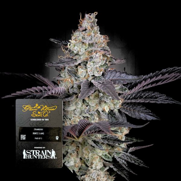 Green House Seeds Ztrawberry