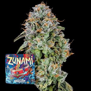 Zuminati Grounded Genetics